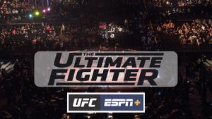 The Ultimate Fighter: When & How To Register For Casting On TUF 32? Who Are The Previous Winners?