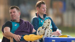 David Warner will never get 'full respect' of public, says former Australia cricketer who played 56 Test matches