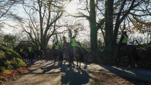 Keagan Kirkby, point-to-point rider and Paul Nicholls team member, dies in fall