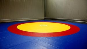 Ad-hoc panel for wrestling tells all state units to send entries for age-group nationals