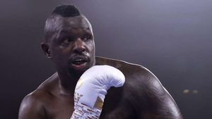 Dillian Whyte makes winning return with victory over Christian Hammer