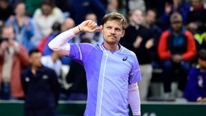 Goffin claims fan spat chewing gum at him during French Open match