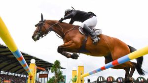 Equestrian Federation Reinstated as Delhi High Court Stays Ad-Hoc Panel Appointment