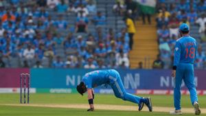 Hardik Pandya-Natasa Stankovic divorce rumour: Fans sympathise with cricketer amid Rs 112 crore alimony reports