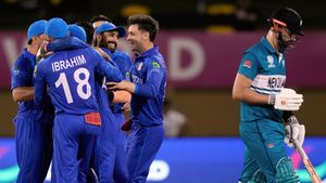 T20 World Cup 2024: 'Can't Call it an Upset' - Cricket Fraternity React After Afghanistan Beat New Zealand