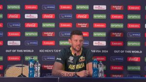 T20 World Cup 2024: Josh Hazlewood Questions Tournament Format, Net Run Rate Rule
