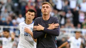 England 3-0 Bosnia-Herzegovina: Palmer scores on first start in Three Lions victory