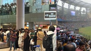 Team India Celebration: Fans throng at Mumbai Airport for a glimpse amid Rain at Wankhede Stadium