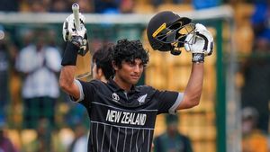 New Zealand Central Contract 2024-25: Rachin Ravindra Among 20 Players Handed Contracts by NZC
