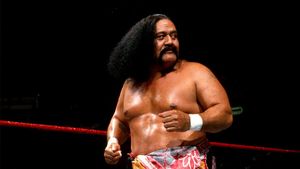 Remembering Afa Anoa'i Sr: WWE Hall Of Famer And Wrestling Icon - One Half of Wild Samoans