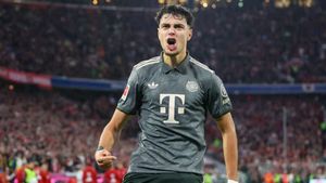Bayern Munich 1-1 Bayer Leverkusen: Andrich and Pavlovic stunners ensure spoils are shared