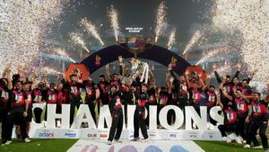 DPL 2024: Top Stats and Records from the inaugural Delhi Premier League