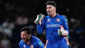 AFG vs SA Dream11 3rd ODI: Prediction, Possible Playing 11, Squads, head-to-head as Afghanistan take on South Africa