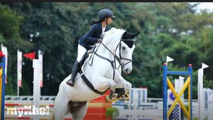 Equestrian Premier League 2024 Grand Finale To Take Place At Embassy International Riding School In Bangalore