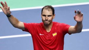 Rafael Nadal's career ends as Spain are beaten by Netherlands in Davis Cup