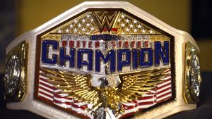 WWE SmackDown: New Title Introduced; Dual Title Matches Set For November 15 Episode