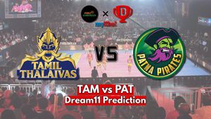 PKL Season 11, Tamil Thalaivas vs Patna Pirates: TAM vs PAT Dream11 Prediction, H2H Record, Starting 7, Live Streaming
