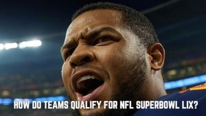 NFL Playoffs: How do teams qualify for NFL Superbowl LIX?