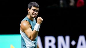 Carlos Alcaraz to contest first indoor final in Rotterdam after Hubert Hurkacz win