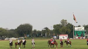 Sports connects alumni, celebrates camaraderie & shared memories