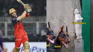 IPL 2025: Phil Salt Rubs 'Salt' On KKR, RCB Star's Explosive Innings Sparks Meme Fest On X