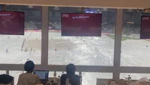 KKR vs PBKS IPL 2025: Unprecedented Power Outage Hits Eden Gardens As Rain Interrupts Play