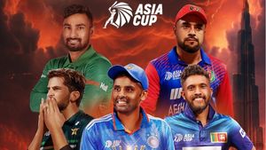 Asia Cup 2025: Not Pakistan! Only 2 Teams Have Won T20I Editions- Most Matches Won, Best Win Percentage