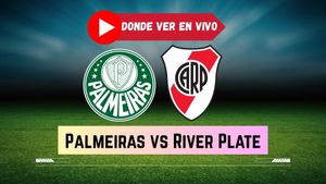 Palmeiras vs River Plate EN Vivo: Horario, Canal y Donde Ver el Partido de Copa Libertadores en TV y Online?