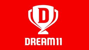 4 Teams Reeling Without Jersey Sponsor After Dream11 Ban Ahead Of IPL 2026