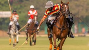HH Maharaja Padmanabh Singh Strikes Nine as Jaipur Cruise Into Kashmir Challenge Cup Final With Dominant Win
