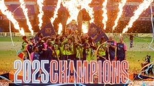 Abu Dhabi T10 Award Winners: Full List of Awards as UAE Bulls Crowned Champions
