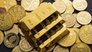 Gold Price Rally Pauses in India: Check Today's 24k, 22k 18k Gold Rates on Jan 25 After Bullish Run