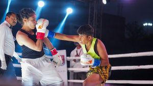 India Knockout Nights: IIS Launches Professional Boxing Platform in Chandigarh