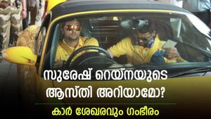 റെയ്‌നക്ക് ഇത്രയും ആസ്തിയോ? മാസ വരുമാനം ഞെട്ടിക്കും! കാര്‍ ശേഖരം കണ്ണുതള്ളിക്കും