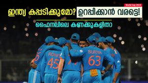 World Cup 2023: ഇന്ത്യ കിരീടം നേടുമോ? ഫൈനലിലെ ടീമിന്റെ പ്രകടനം എങ്ങനെ? കണക്കുകളിതാ