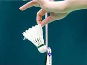 బ్యాడ్మింటన్ కు స్వైన్ ఫ్లూ బెడద