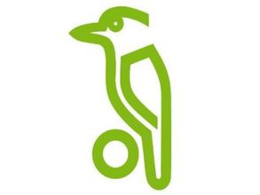 డే-నైట్ టెస్టులకు గులాబీ బంతులు సిద్ధం: కూకబురా