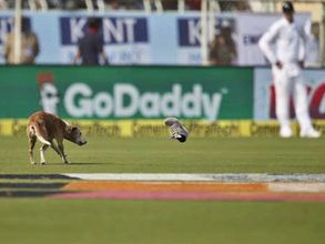 విశాఖ టెస్టులో కుక్క హడావుడి: ముందుగా టీ విరామం