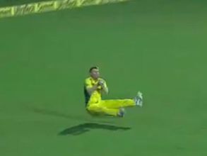 టర్నింగ్ పాయింట్ అదే: కళ్లు చెదిరే క్యాచ్ పట్టిన డేవిడ్ వార్నర్ (వీడియో)