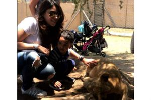 సఫారీ పార్కుల్లో సేద తీరుతున్న క్రికెటర్ల భార్యలు (ఫోటోలు)