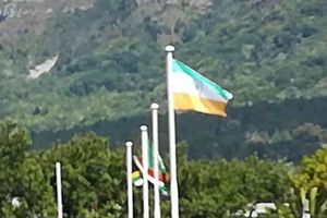 భారత దేశ జెండాను తలకిందులు చేసిన దక్షిణాఫ్రికా