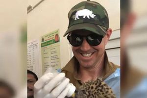 బుల్లి చిరుతకు పాలు పట్టించిన ఇంగ్లాండ్ మాజీ కెప్టెన్ పీటర్సన్