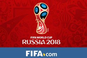 డిఫెండర్ ఫెర్నాండెజ్‌తో భాష సమస్యల్లేవు: రష్యా పుట్‌బాల్ కోచ్