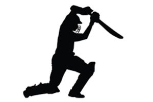 ఐపీఎల్ 2018: సీజన్‌లో మొత్తానికి జరిగిందిదే..!!