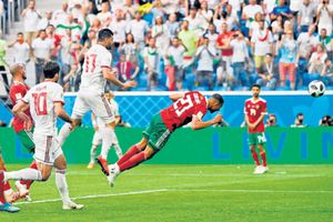 ఫిఫా వరల్డ్ కప్: చెవిటి పిల్లి జోస్యం మళ్లీ నిజమైంది