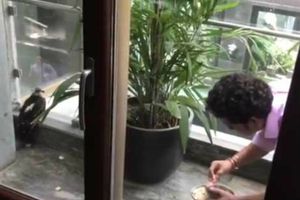 మంచి చేసినా సచిన్‌కి విమర్శలు తప్పలేదు