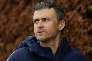 వరల్డ్‌కప్ ఓటమి ఎఫెక్ట్: స్పెయిన్‌కు కొత్త కోచ్ నియామకం