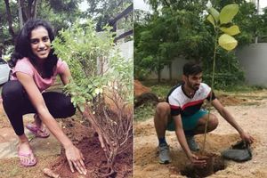 గ్రీన్ ఛాలెంజ్ సవాల్: అర్జున్ రెడ్డికి కిదాంబి శ్రీకాంత్, సమంతకు సింధు