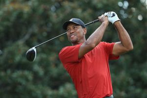 ఐదేళ్ల తర్వాత మళ్లీ టైగర్ వచ్చి.. విజేతగా నిలిచి..