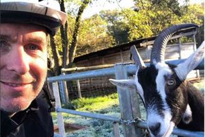 మేకతో సెల్ఫీ దిగి కోహ్లీతో పోలిక: మైకేల్ వాన్‌పై కోహ్లీ ఫ్యాన్స్ పైర్